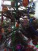 IMG_20241229_124434_453.thumb.jpg.de0f5f18b402e7af55c67d3803ca858e.jpg
