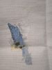 IMG_20241230_124039.thumb.jpg.ea3ffcb2301c1333d0655fbcef4cde10.jpg