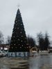 IMG_20241231_152401.thumb.jpg.e68143574cfb32f23f5d16ba0a23e92b.jpg