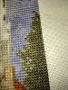 IMG_2031.jpeg