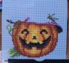 IMG_2043.jpeg
