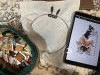 IMG_3048.jpeg