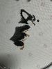 IMG_3049.jpeg