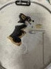 IMG_3071.jpeg