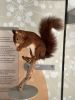 IMG_4964.jpeg