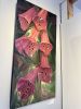 IMG_4968.jpeg