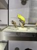 IMG_4974.jpeg