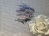 IMG_8698.thumb.jpeg.c422d6812ac7269388564d19721c95b0.jpeg?1735476303904