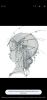 Screenshot_20241206_085956_Chrome.jpg