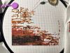 02.thumb.jpg.26727d634d84280bb8ad74040237f592.jpg