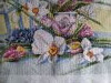 1000018140.thumb.jpg.d234488c0be2117bbf5fa3eea1c90cc5.jpg?1735986302443