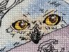 20240323_085649.thumb.jpg.491ad4bf80ae4c2a29f8732976f8f684.jpg