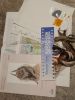 20241101_214920.thumb.jpg.028a39c38a65dccdb284dd9fa39a29a7.jpg
