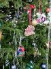 20250112_125825.thumb.jpg.8ac133a1e0738bb33787fb37e886eb05.jpg?1737989331810