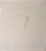 20250118_004343.thumb.jpg.26fc5e1b4c2bc4f1dbf82b656b779df7.jpg
