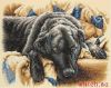 30947.jpg.5f2d4d7d640e8d1995663f83b5594a78.thumb.jpg.7db13d9724e3abecd8ccf0cbaf44a7a0.jpg