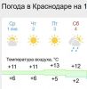 58498553_2025-01-01130915.thumb.jpg.5c12c82a5f275cedb143abfe03b3830a.jpg