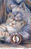78f7422bd37fe553124a383982a4fb77--beautiful-cats-you-ve.thumb.jpg.4f5ea0f3416c63e7197b13ed546eddd8.jpg