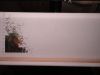 DSC07866.thumb.JPG.938a7c888aeee330592119eaa145c7c1.JPG