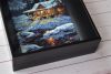 DSC_4559.thumb.JPG.098547eb79b0c9308760731162084cee.JPG