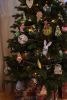 DSC_4698.thumb.JPG.4774a0af8a06191528a7a81ff3fd71a8.JPG