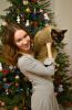 DSC_4781-2.thumb.JPG.63faa08b71ad7bee0146c9a83e7e151b.JPG