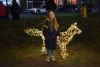 DSC_4915.thumb.JPG.bced8563450b6f7888c61acf0c0d36c1.JPG