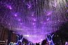 DSC_4918.thumb.JPG.f240636395183f986140c20fb2d82294.JPG