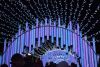 DSC_4925.thumb.JPG.6c51dee02afffeb0c87ef3463875d2a6.JPG