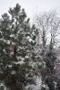 DSC_5041.thumb.JPG.e539944930575c7ef8aa3103b0769f9d.JPG
