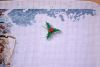 DSC_5275-2.thumb.JPG.7c2c7a2ff8625d2768ef9d547e62ad61.JPG