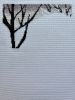 IMG_0306.jpeg