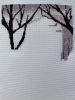 IMG_0330.jpeg