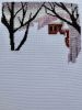 IMG_0366.jpeg