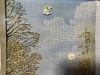 IMG_0845.thumb.jpeg.d3210da552ae9bbdf9d2b61cc91c7359.jpeg