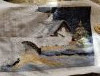 IMG_20240901_100229.jpg
