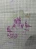IMG_20241028_163857.thumb.jpg.6bb72f78092351596656f75b4c742480.jpg