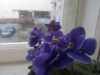 IMG_20241123_141801_BURST1.thumb.jpg.b0a26607837d06e7759ce17d091ef896.jpg