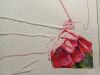 IMG_20241224_113954.thumb.jpg.2413dcf968ab58eb07c9d9356fc5be93.jpg