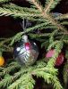 IMG_20241230_210632.thumb.jpg.a3054c217ce2077c127692d839f87d40.jpg