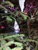 IMG_20241230_210644.thumb.jpg.b1d1684c90f372c497966d45e33f7a99.jpg