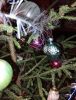 IMG_20241230_210845.thumb.jpg.7cd3ce47af20587e7a22079e8e09db91.jpg
