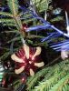 IMG_20241230_210901.thumb.jpg.d39c7e295219b0813ba23b0c04d39658.jpg
