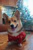 IMG_20241231_140426.thumb.jpg.3840a35ef179175c7cd8336d332259a4.jpg