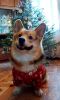 IMG_20241231_140552.thumb.jpg.d482be77186fc38362482cf9e40095c0.jpg