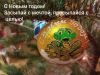 IMG_20241231_224515.thumb.jpg.99176012541a89545fd0d1f8987e4d44.jpg