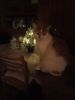IMG_20250101_193946.thumb.jpg.3366081e43551346f77c1fff4e3e66bc.jpg