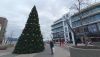 IMG_20250106_150444.thumb.jpg.24c7b48a5a74c327b3b8e0cf7415c0aa.jpg