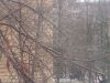 IMG_20250107_134847.thumb.jpg.c80a7bcf289b4000341af268adb1ae8b.jpg