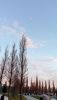 IMG_20250107_165529.thumb.jpg.c54df95ac96ab66683f44692ad60608d.jpg
